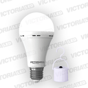 FOCO LED EMERGENCIA 9W 6500K 100U/C