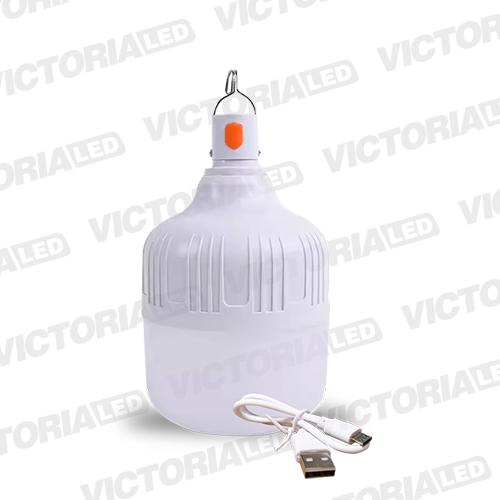 [VL-FE30W] FOCO LED RECARGABLE 30W 6500K 30U/C