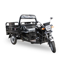 BRAVO TRICICLO ELECTRICO 1500W 60V58A NEGRO