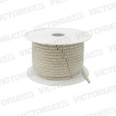 CINTA LED 100MT CON RECUBRIMIENTO PLASTICO 110V IP66 6500K